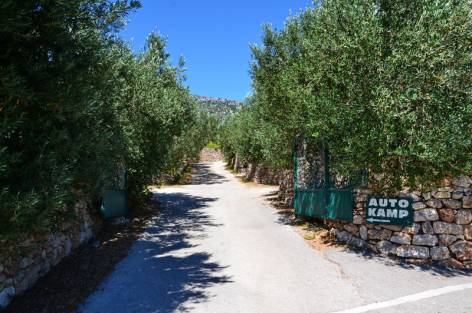 Kamp Kanun